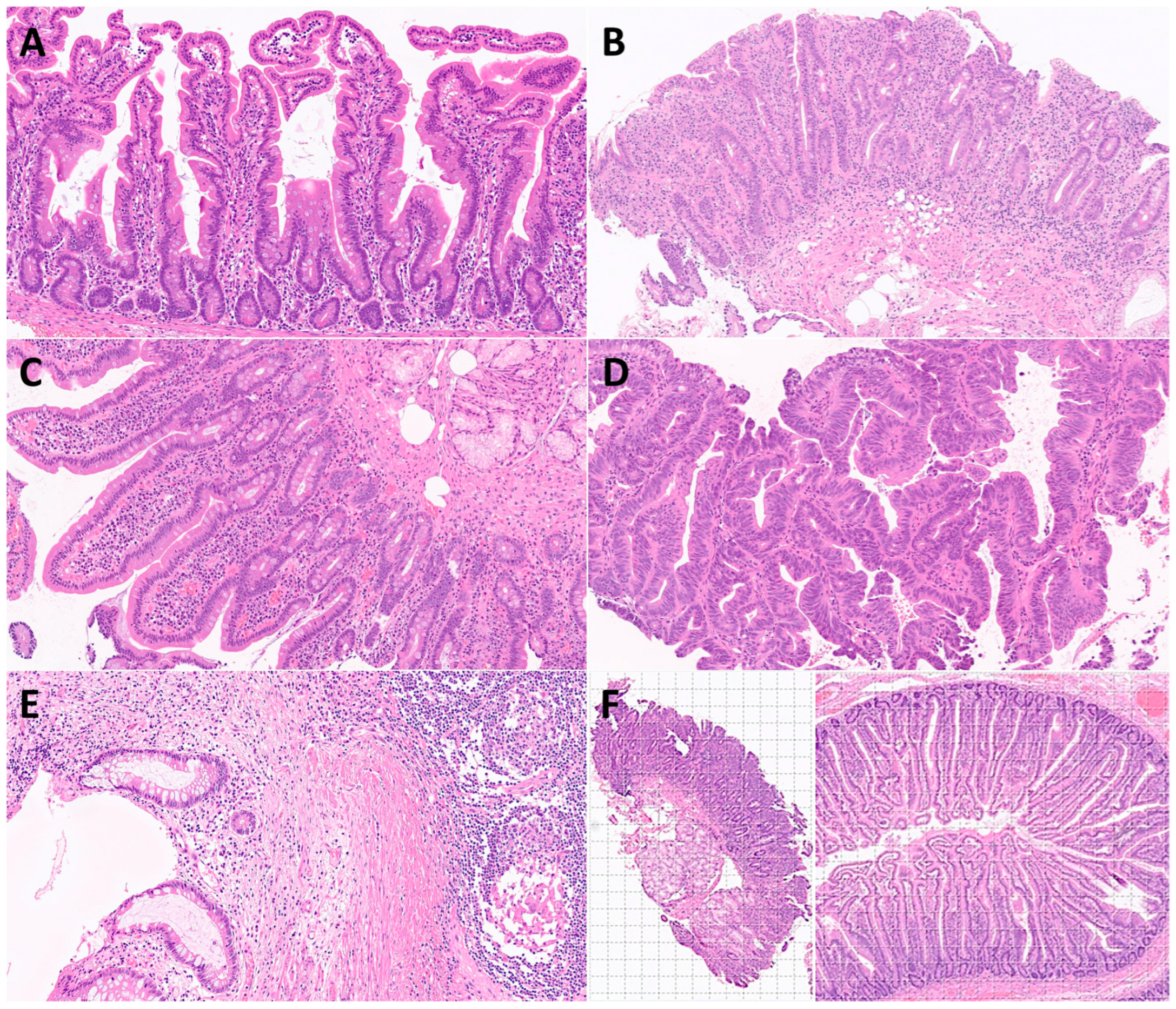 Jimaging 10 00200 g003