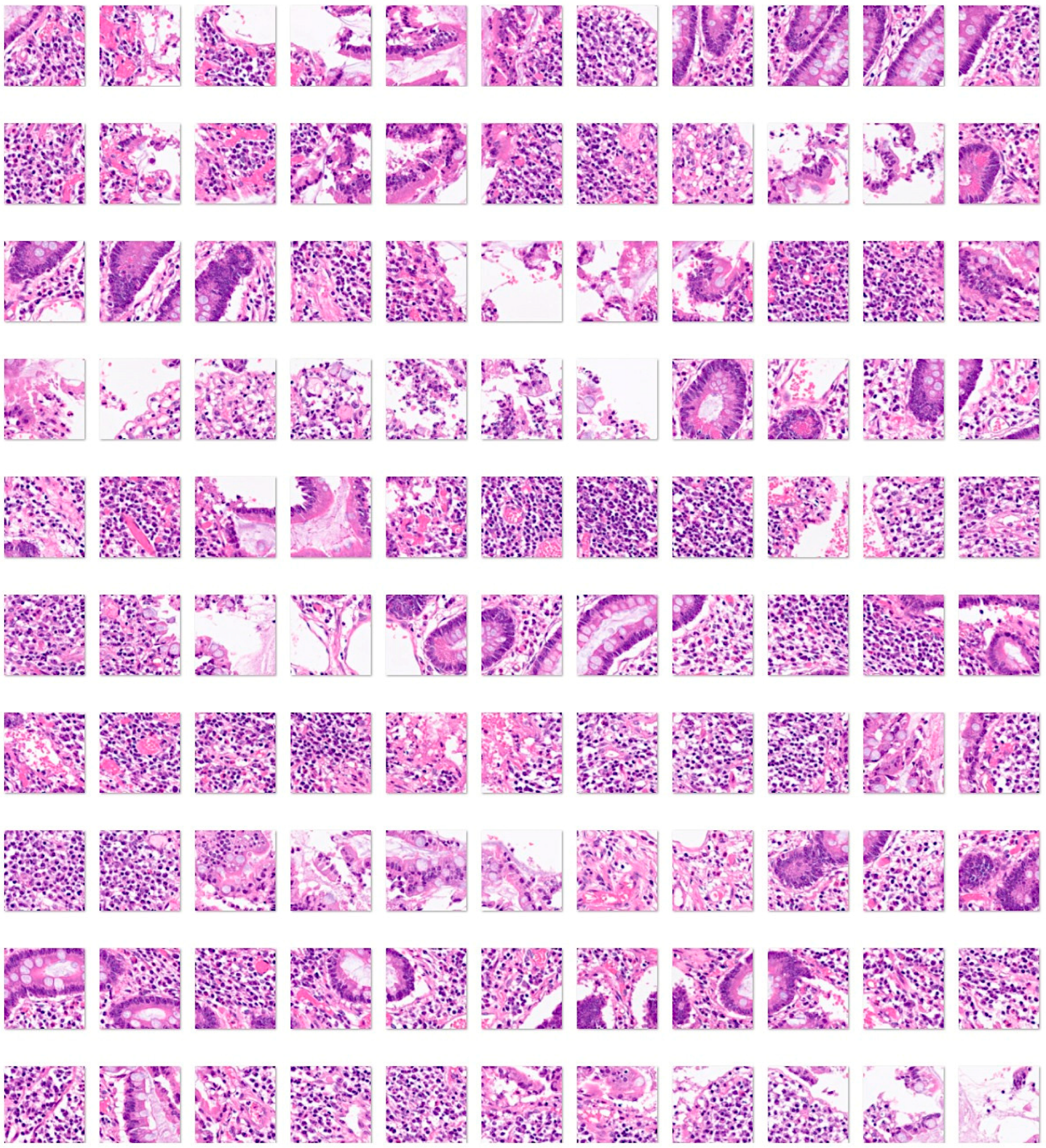 Jimaging 10 00200 g008