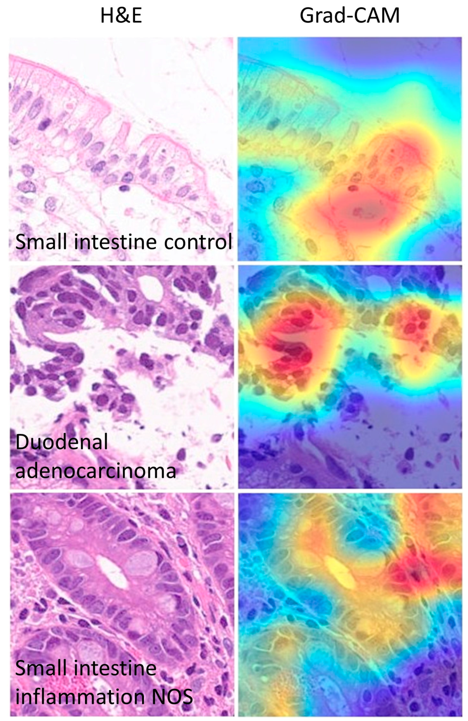 Jimaging 10 00200 g016