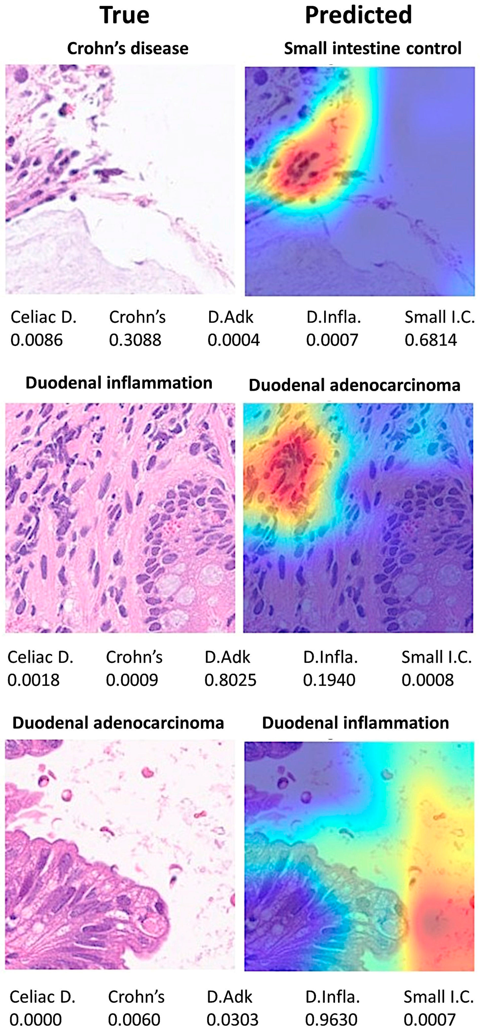Jimaging 10 00200 g017
