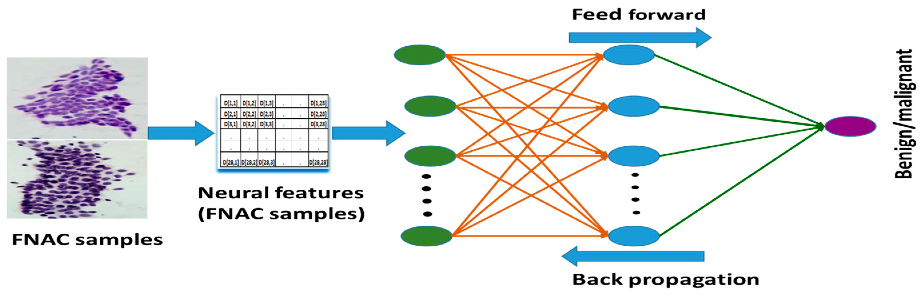 Jimaging 10 00201 g004