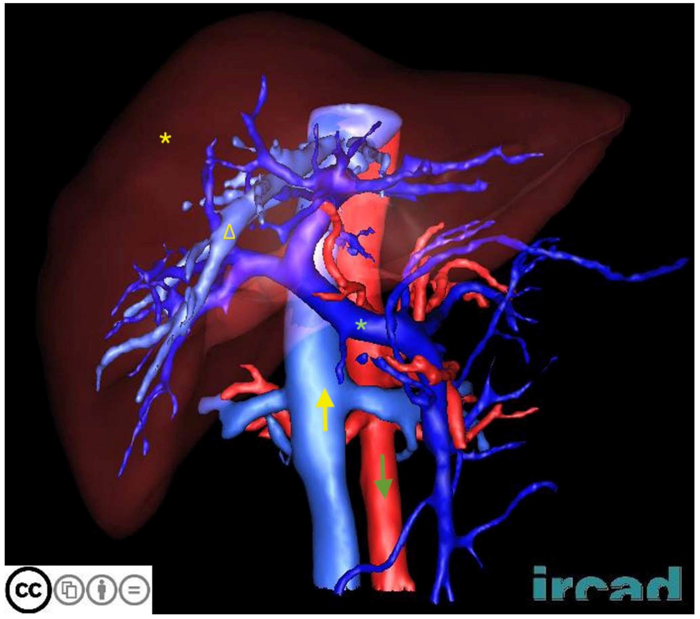 Jimaging 10 00202 g002