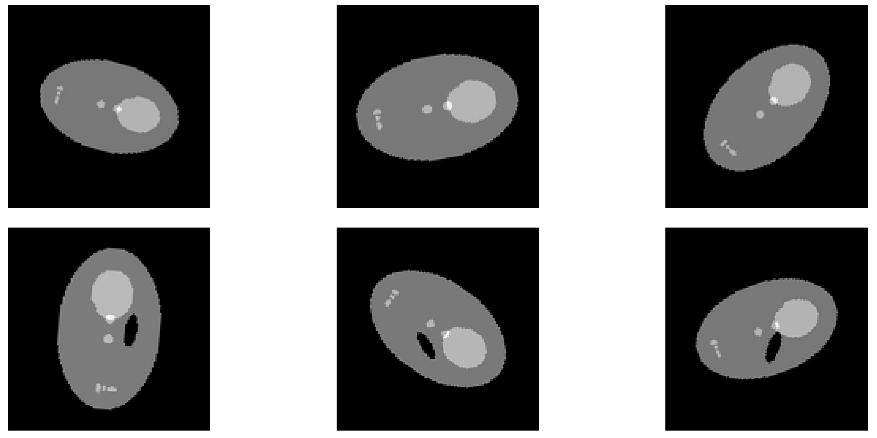 Jimaging 10 00208 g002