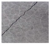 Jimaging 10 00215 i003