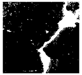 Jimaging 10 00215 i018