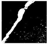 Jimaging 10 00215 i022