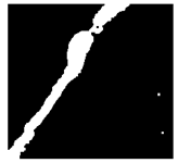 Jimaging 10 00215 i023