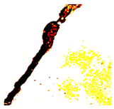 Jimaging 10 00215 i037