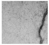 Jimaging 10 00215 i038