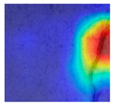 Jimaging 10 00215 i039