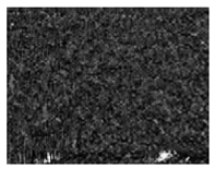 Jimaging 10 00233 i005