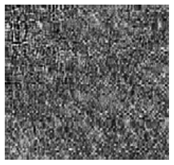 Jimaging 10 00233 i010