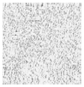 Jimaging 10 00233 i012