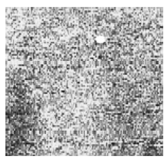 Jimaging 10 00233 i018