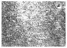 Jimaging 10 00233 i019