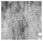 Jimaging 10 00233 i020