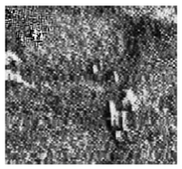 Jimaging 10 00233 i023