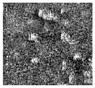 Jimaging 10 00233 i028