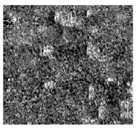 Jimaging 10 00233 i029