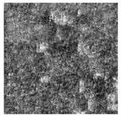 Jimaging 10 00233 i030