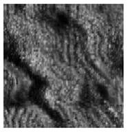 Jimaging 10 00233 i033