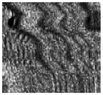 Jimaging 10 00233 i034