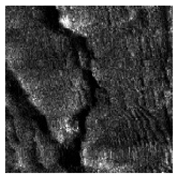 Jimaging 10 00233 i036