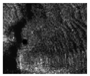 Jimaging 10 00233 i040