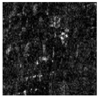 Jimaging 10 00233 i062