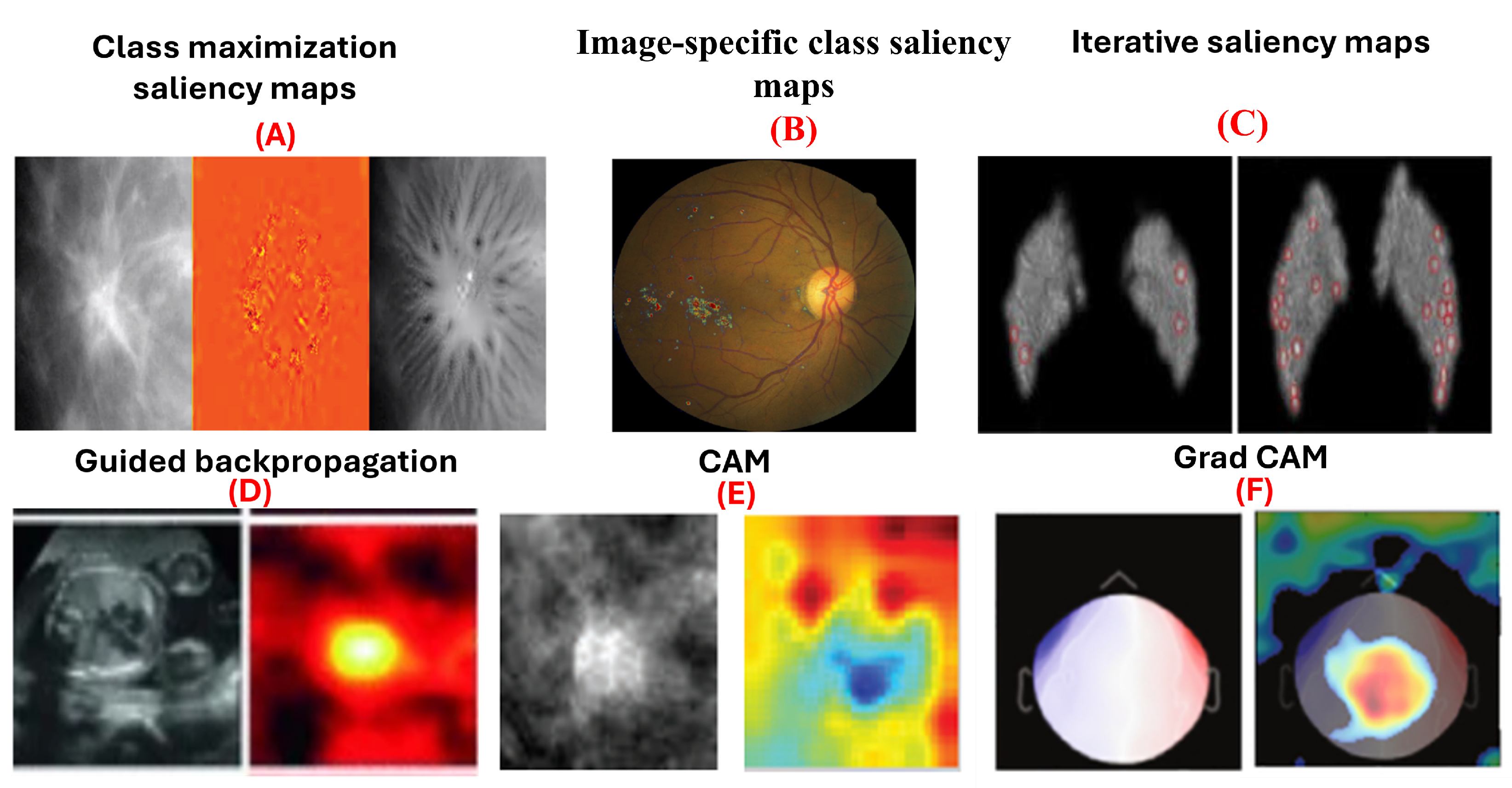 Jimaging 10 00239 g004