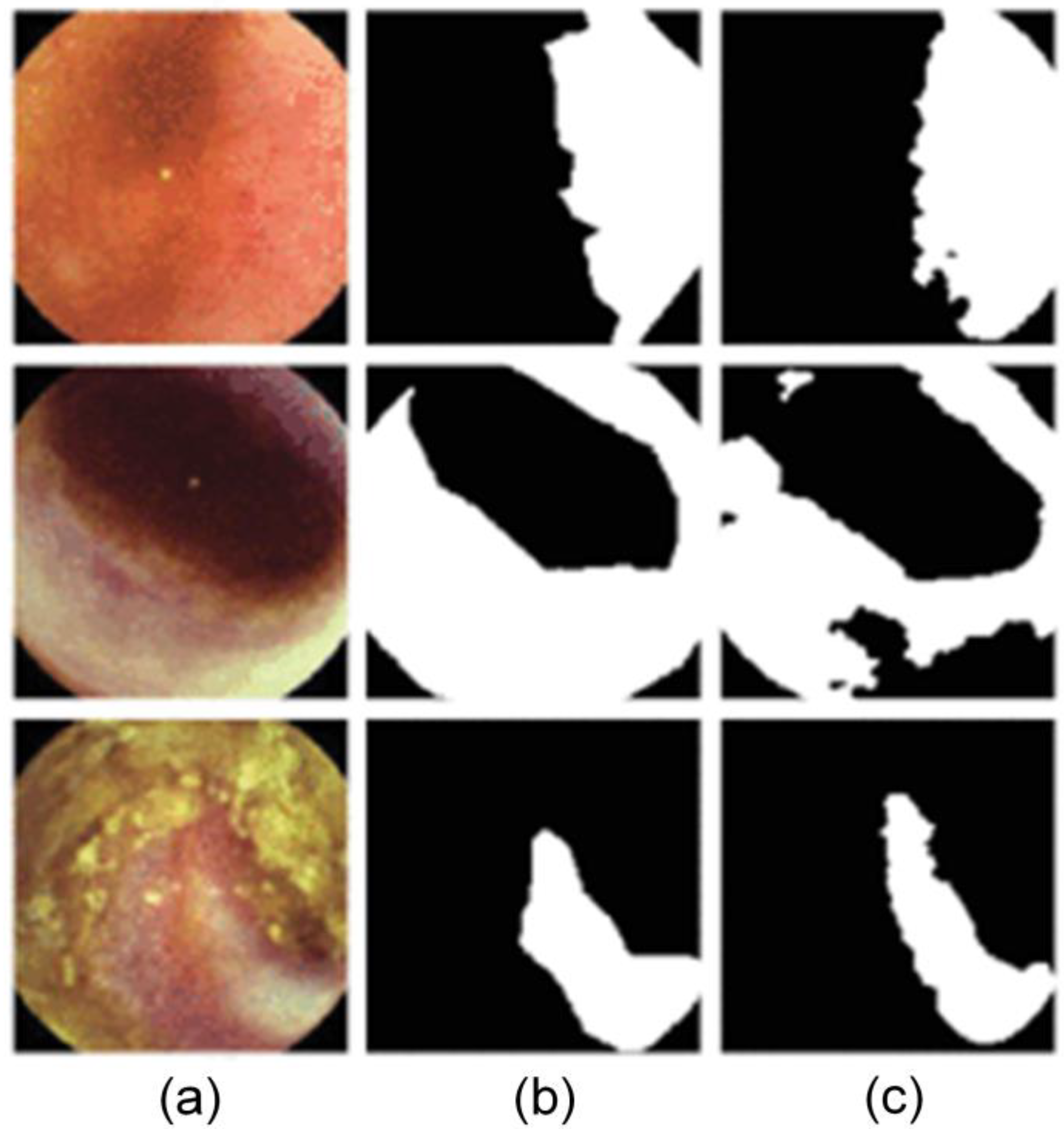 Jimaging 10 00275 g002