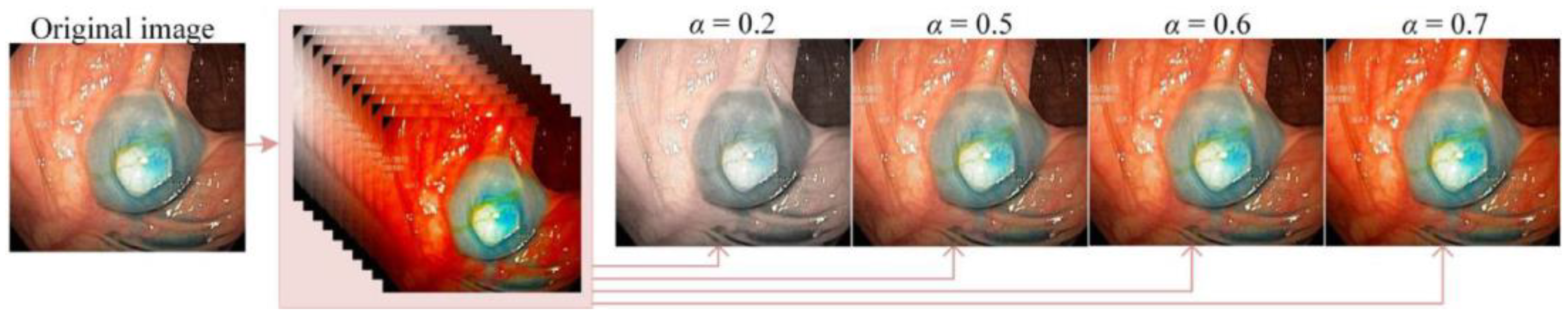 Jimaging 10 00275 g004