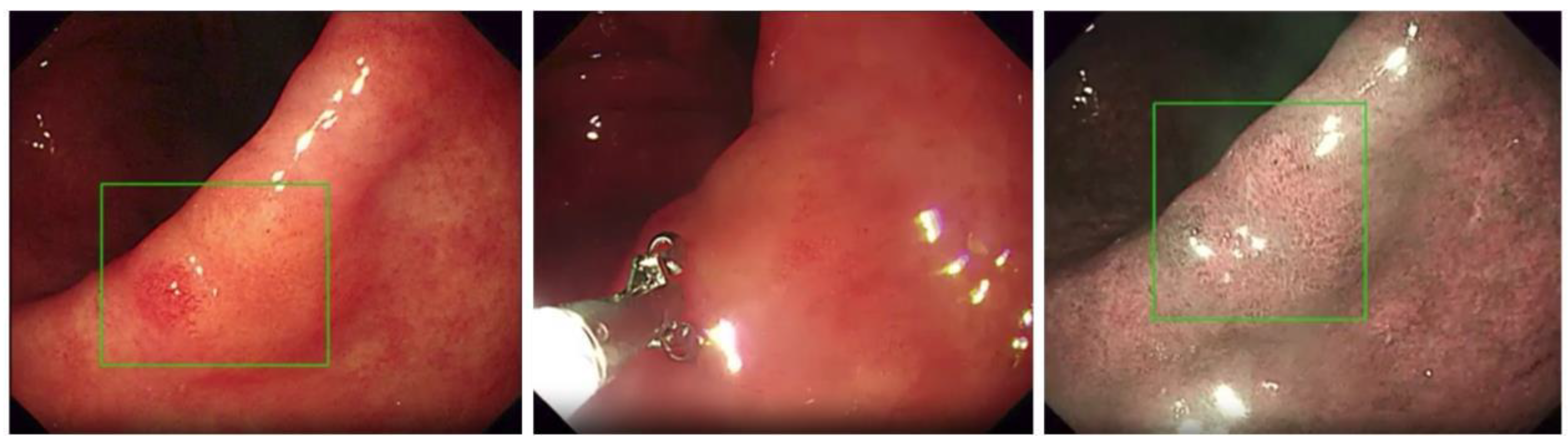 Jimaging 10 00275 g006