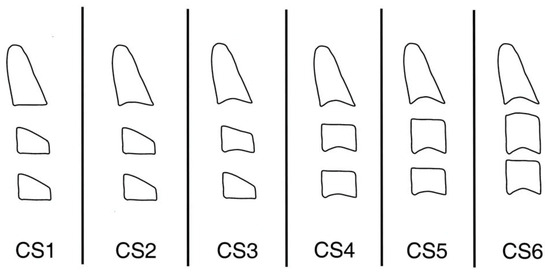 Jimaging 10 00278 g0a1
