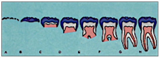 Jimaging 10 00278 g0a2