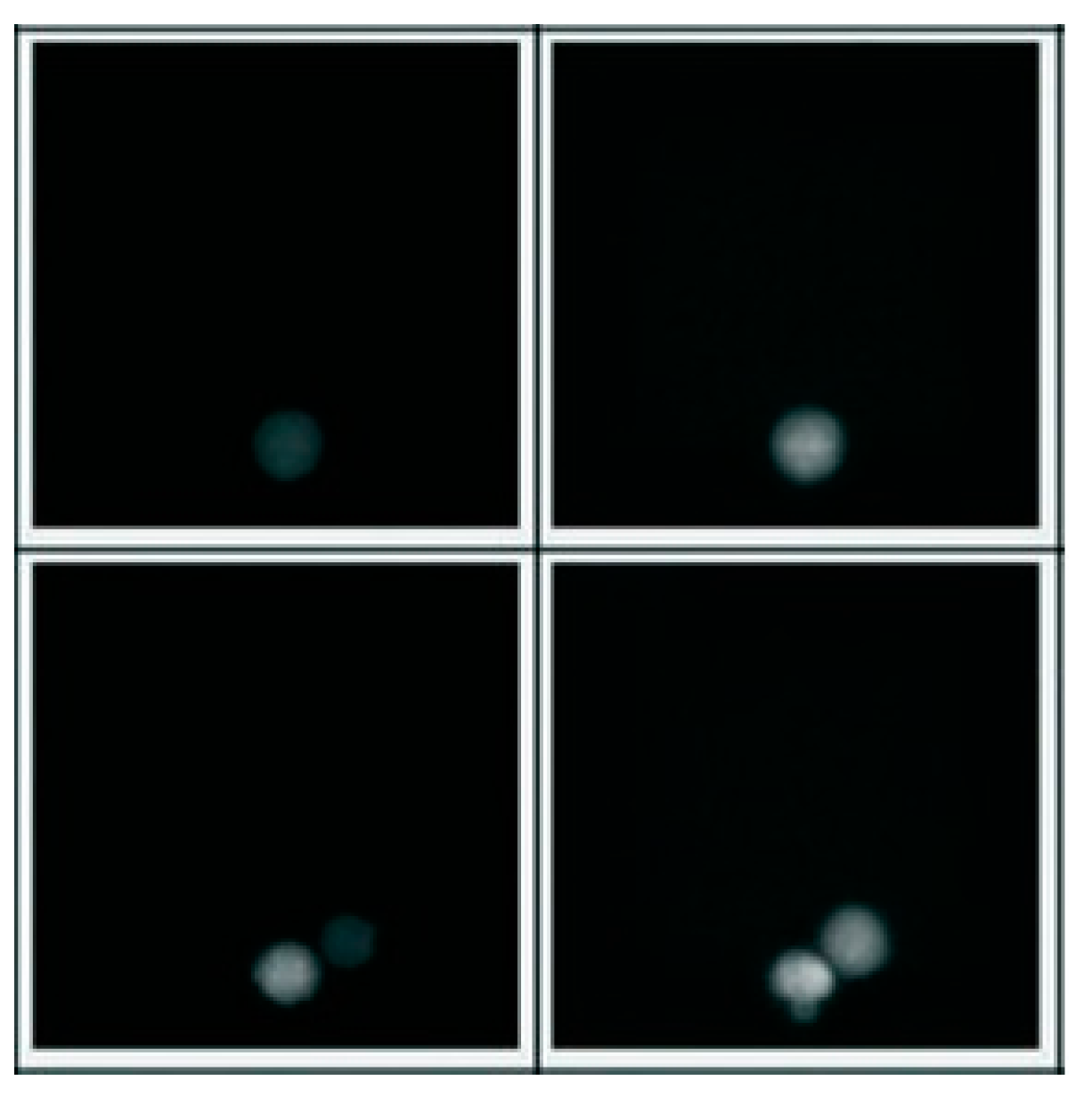 Jimaging 10 00295 g003 Jimaging 10 00295 g003