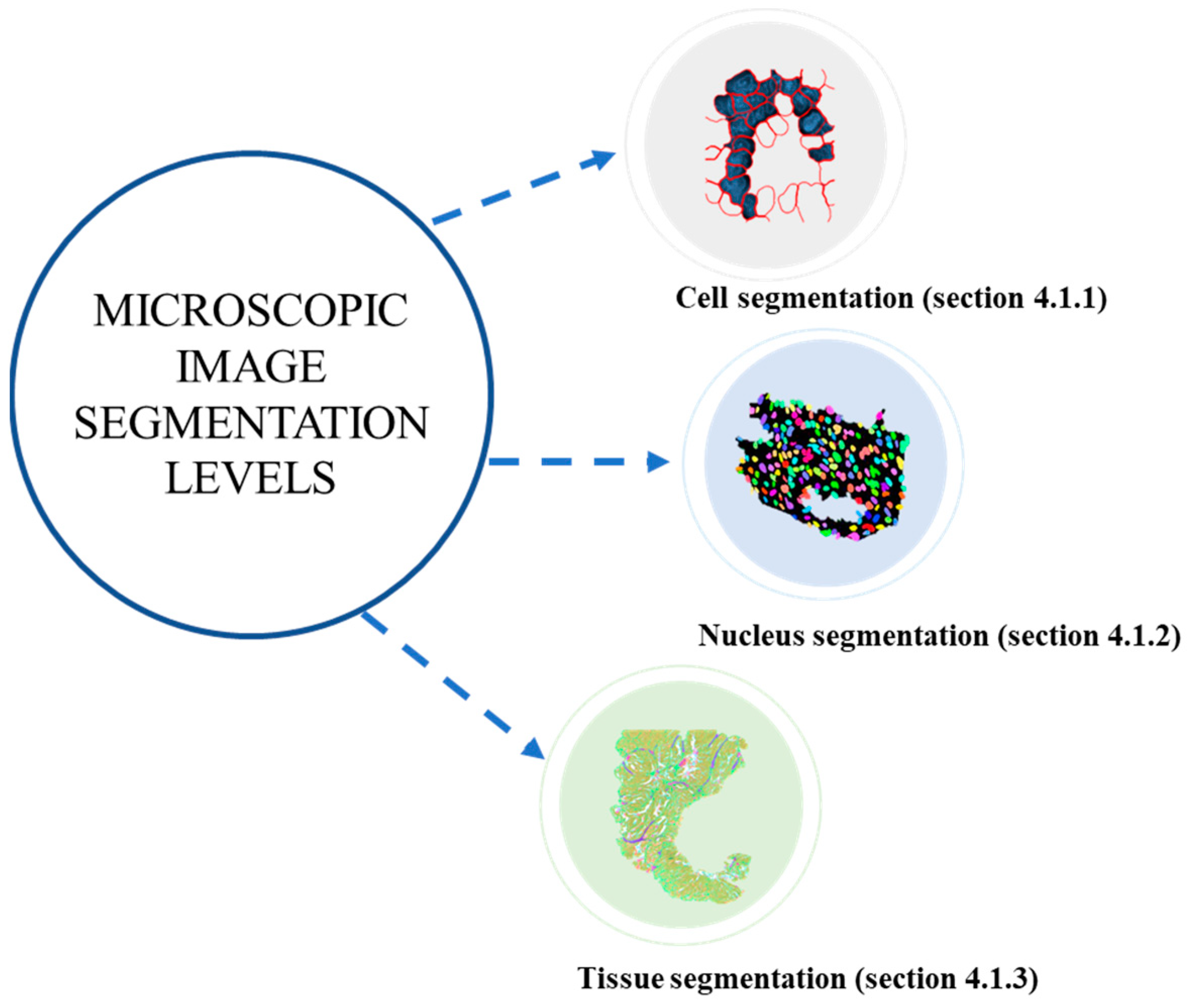 Jimaging 10 00311 g007