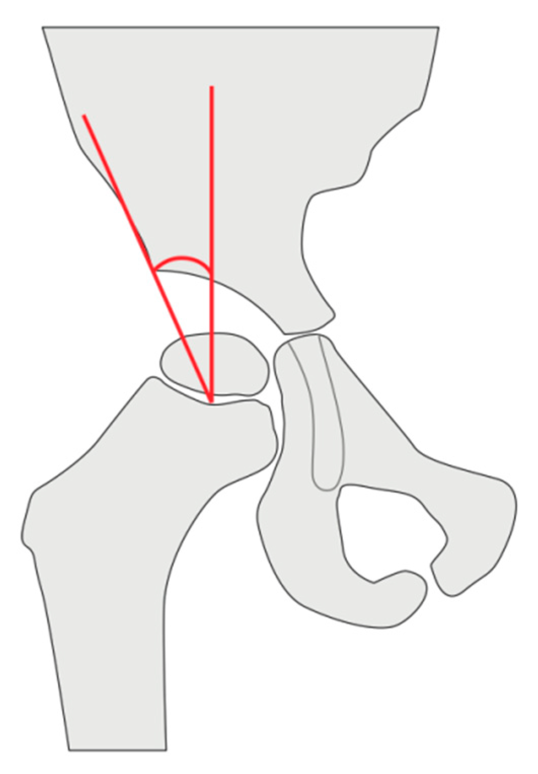 Jimaging 11 00003 g001