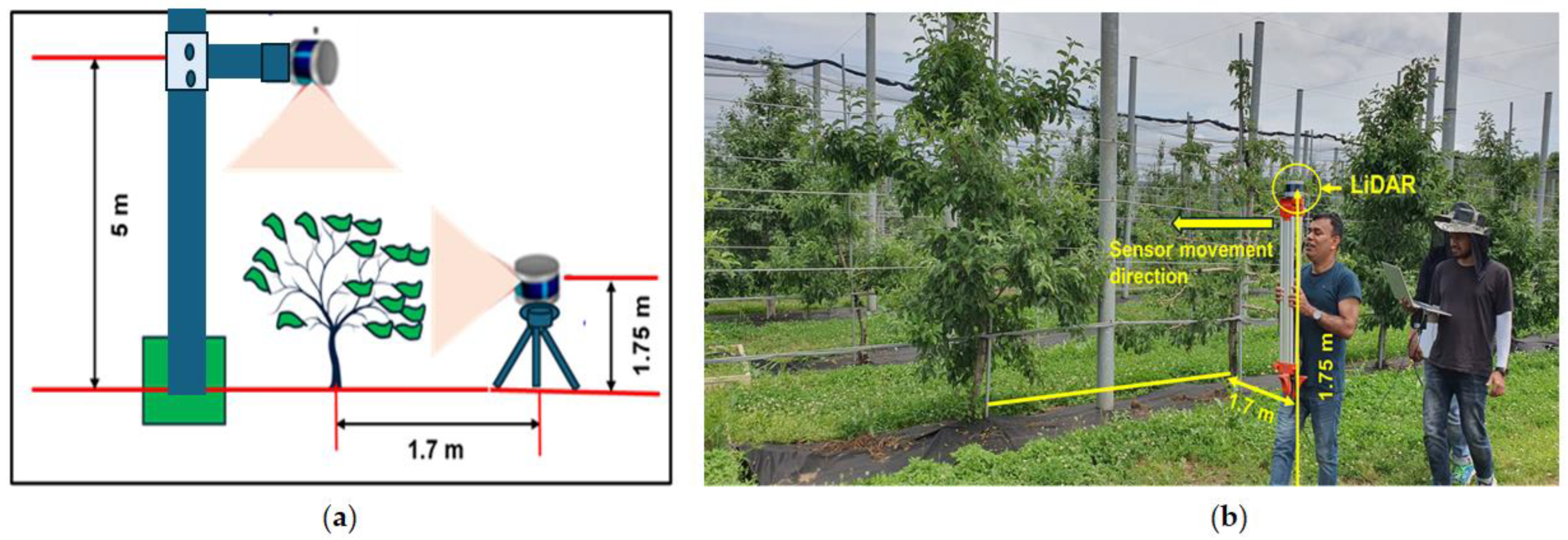 Jimaging 11 00005 g004