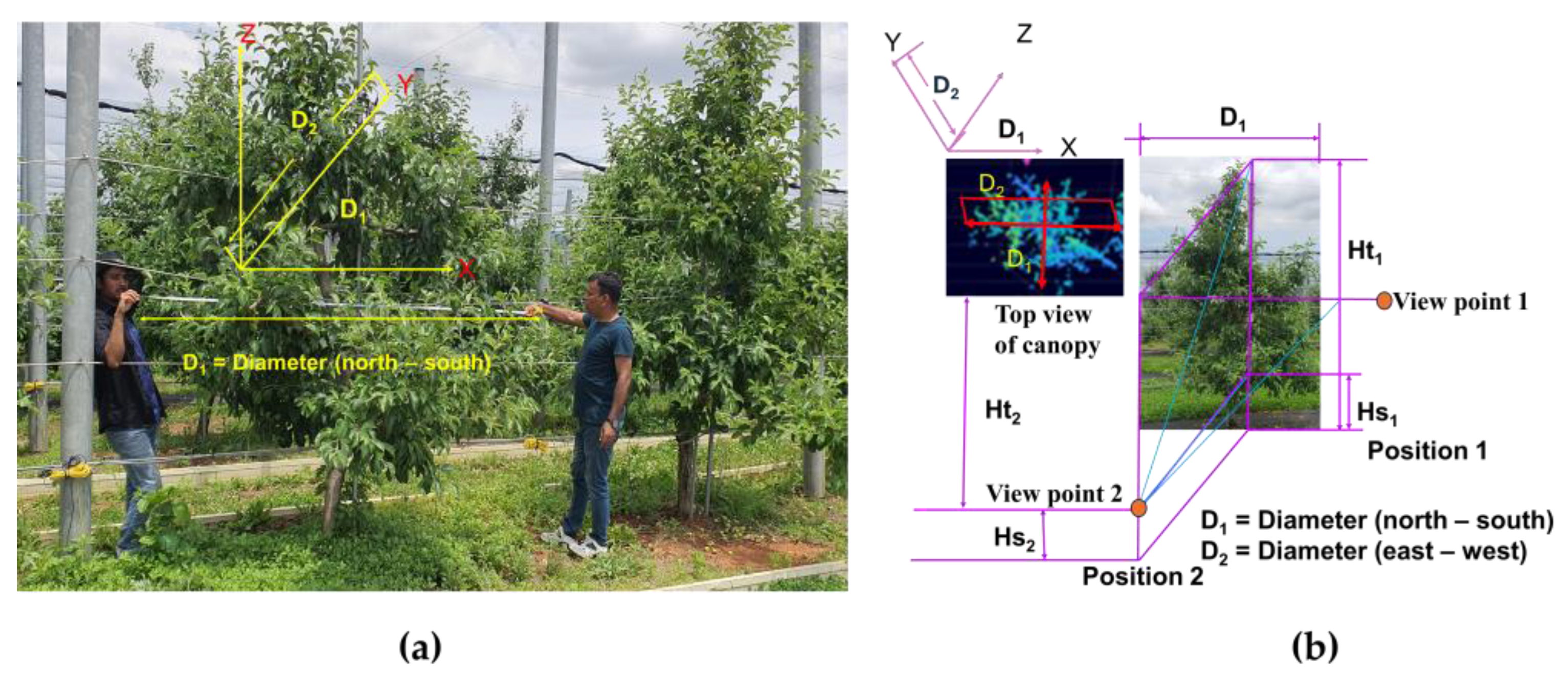 Jimaging 11 00005 g005