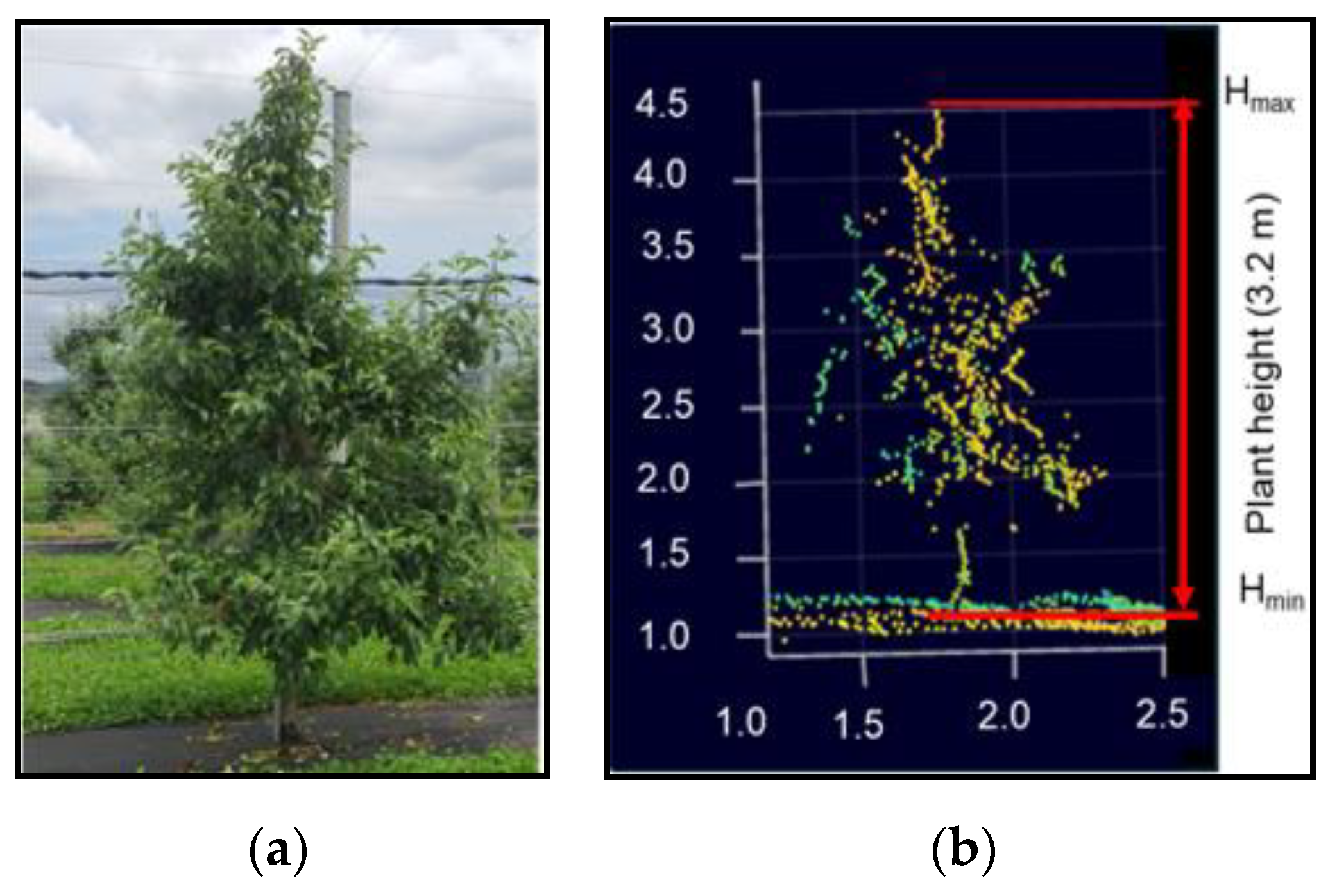 Jimaging 11 00005 g007