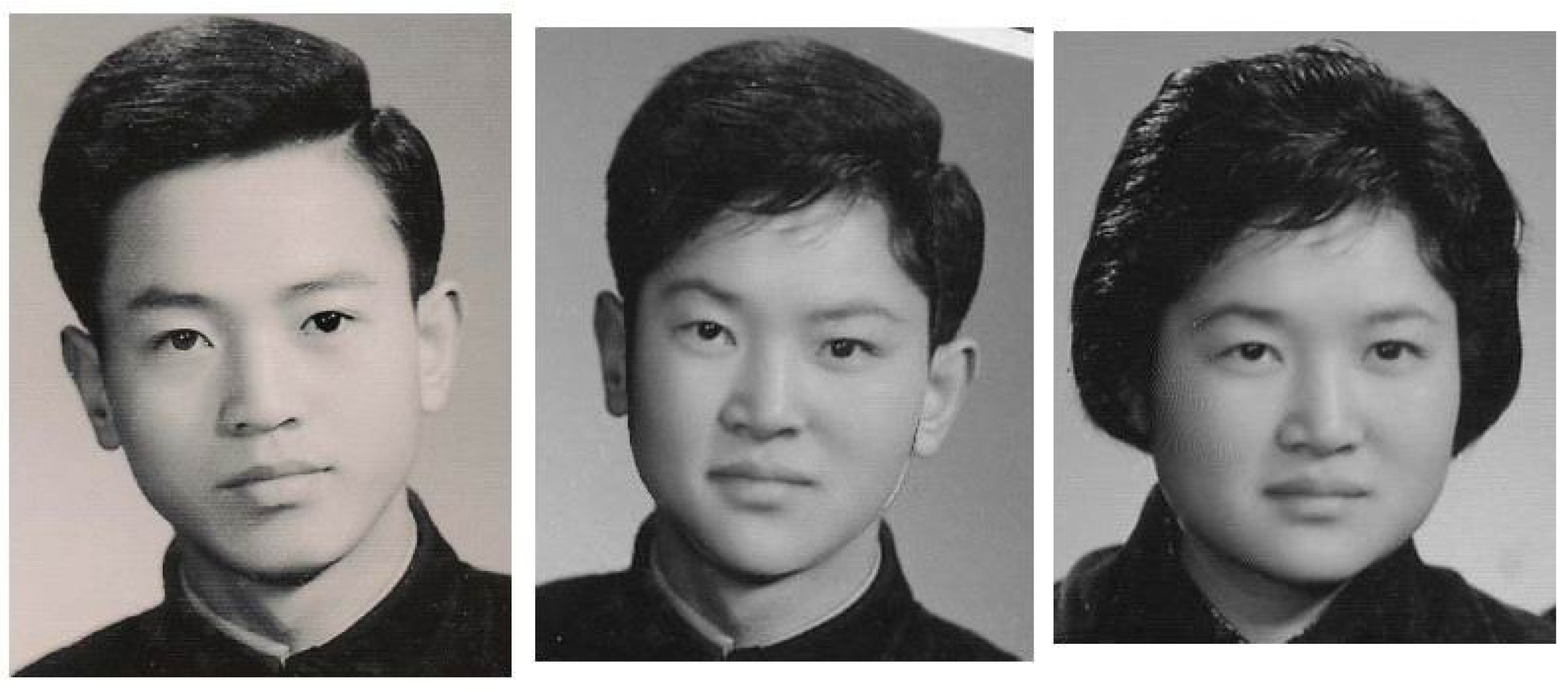 Jimaging 11 00014 g003