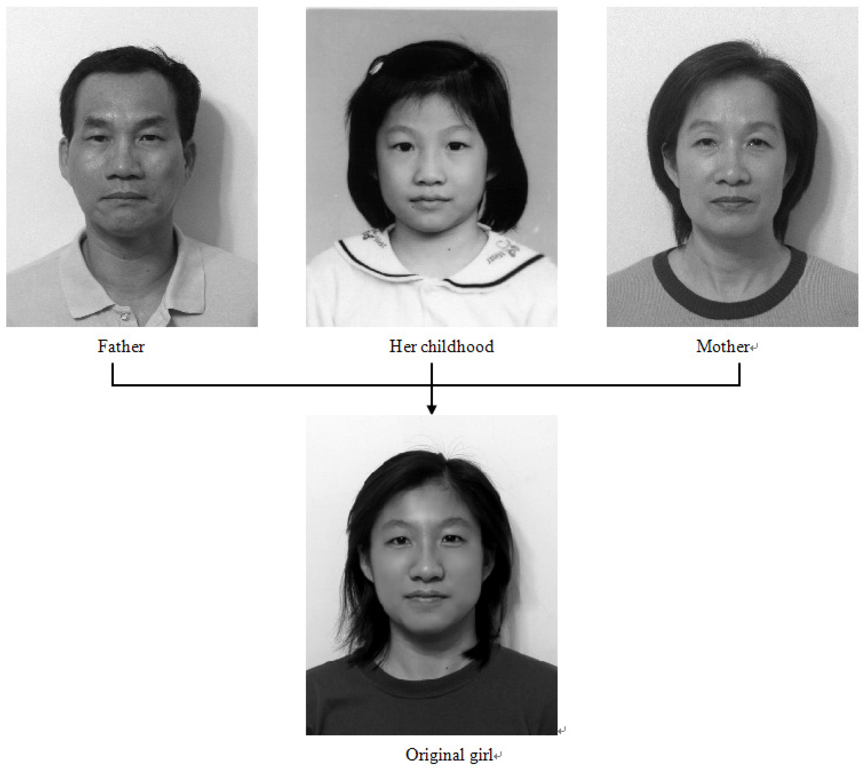 Jimaging 11 00014 g013