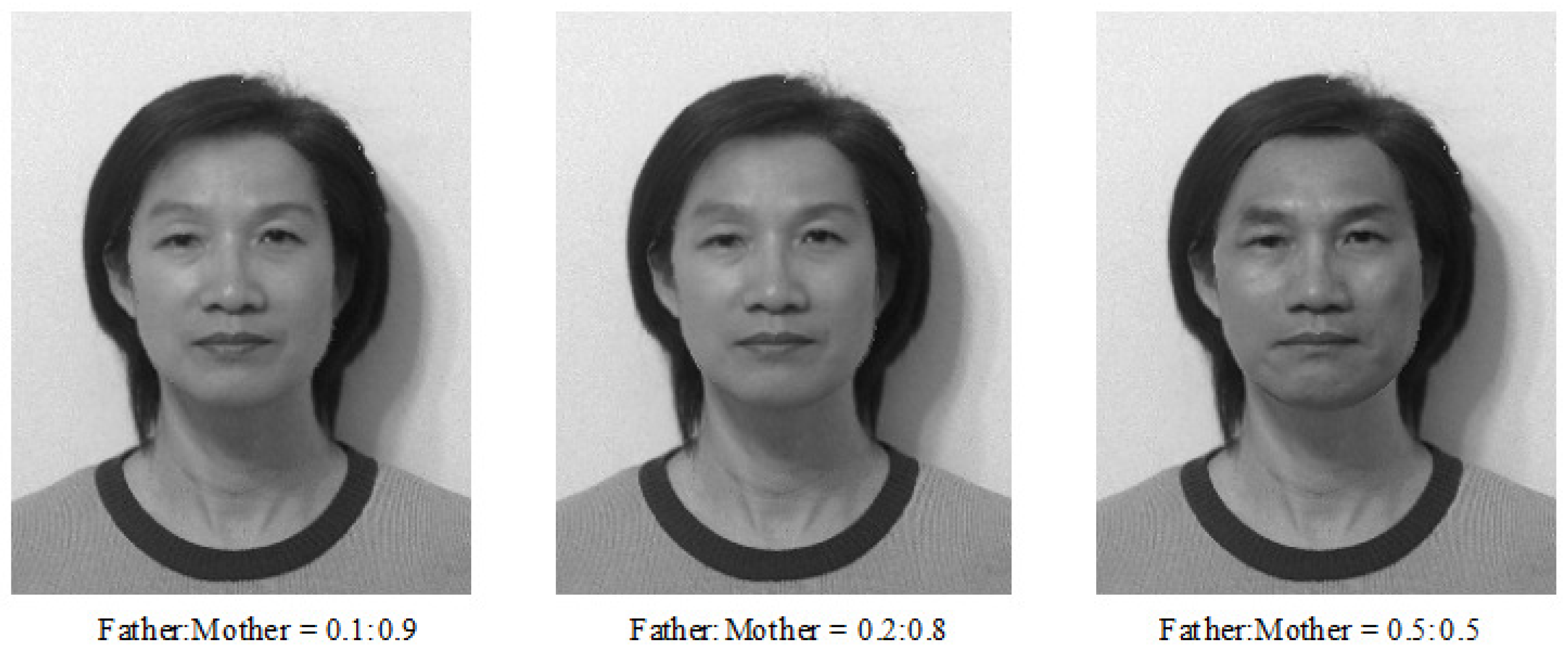 Jimaging 11 00014 g014