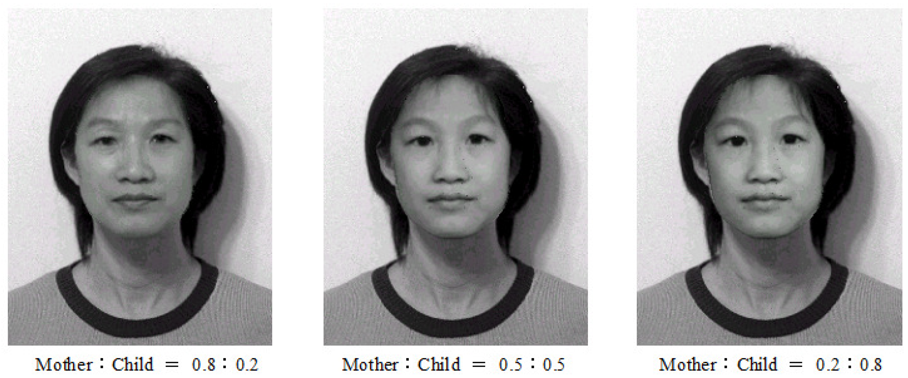 Jimaging 11 00014 g015