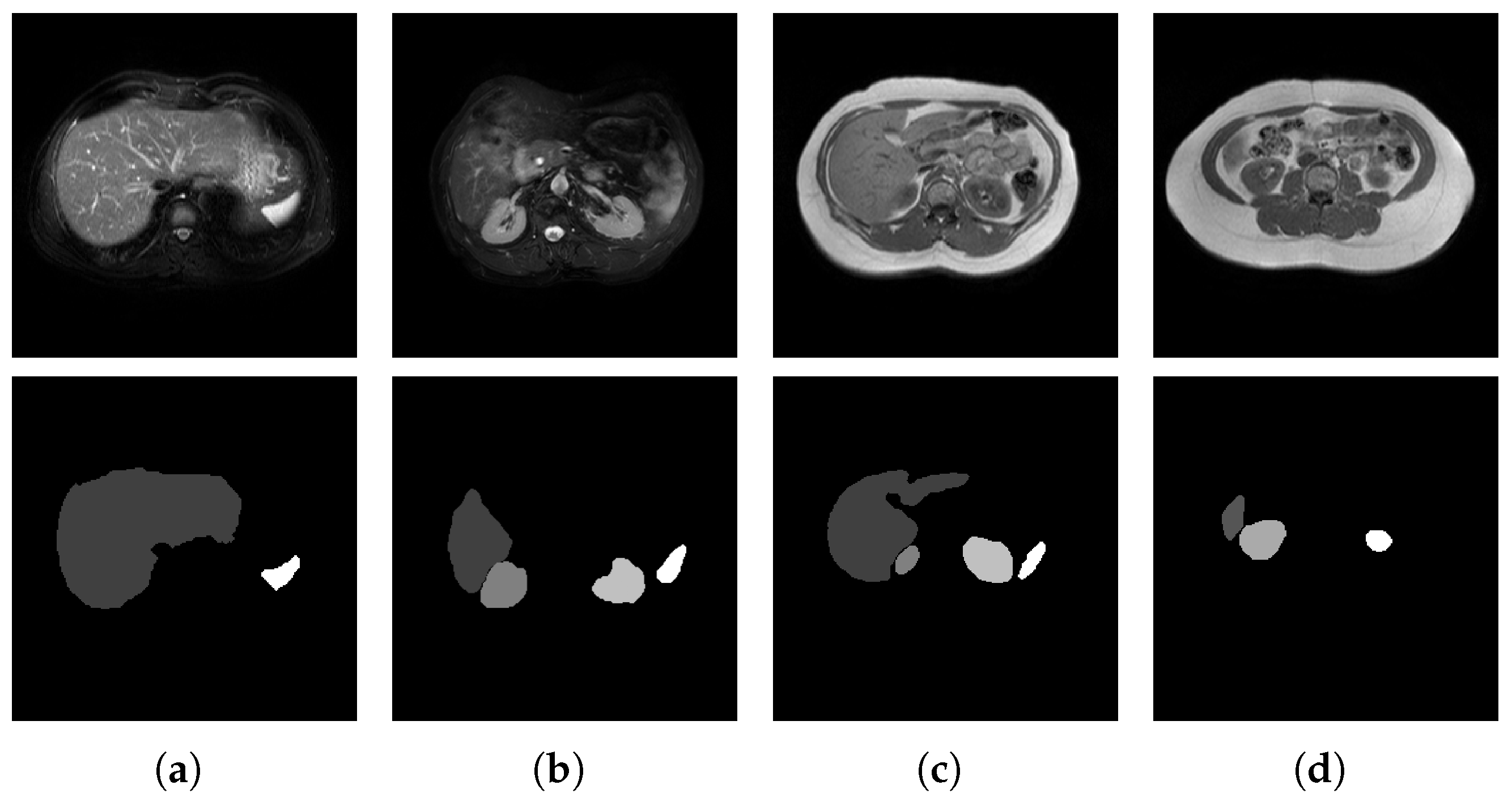 Jimaging 11 00019 g001