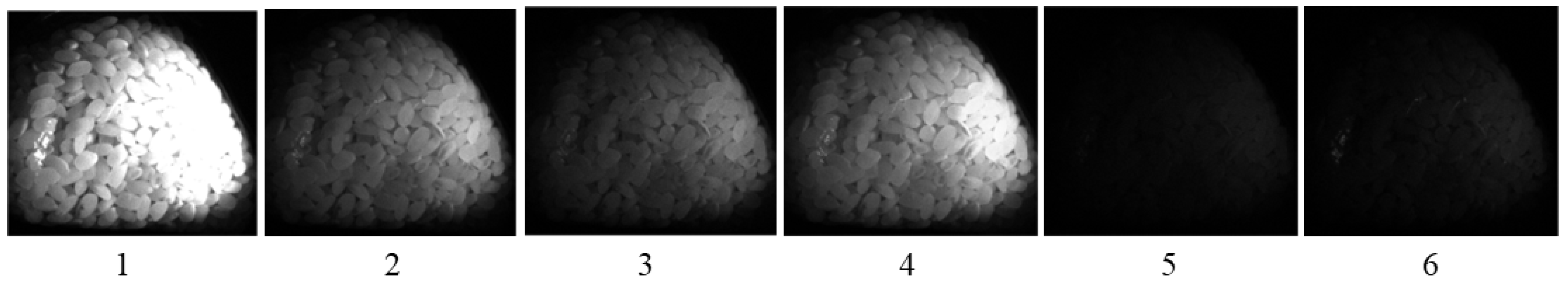Jimaging 11 00030 g010