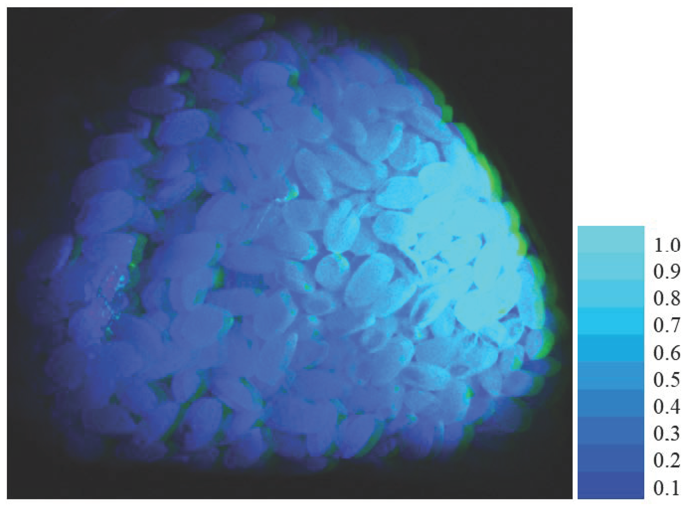 Jimaging 11 00030 g014