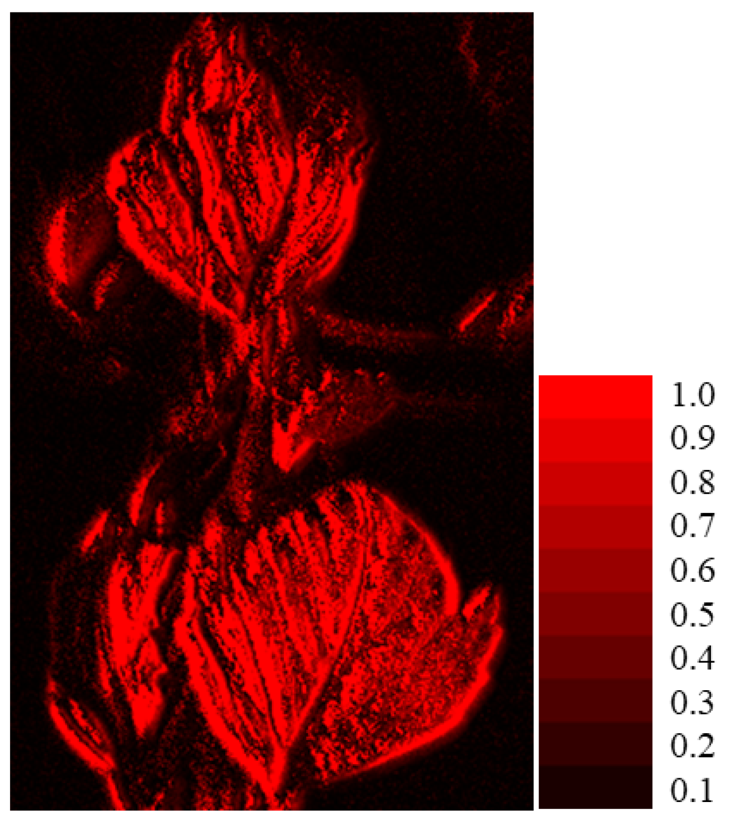 Jimaging 11 00030 g020