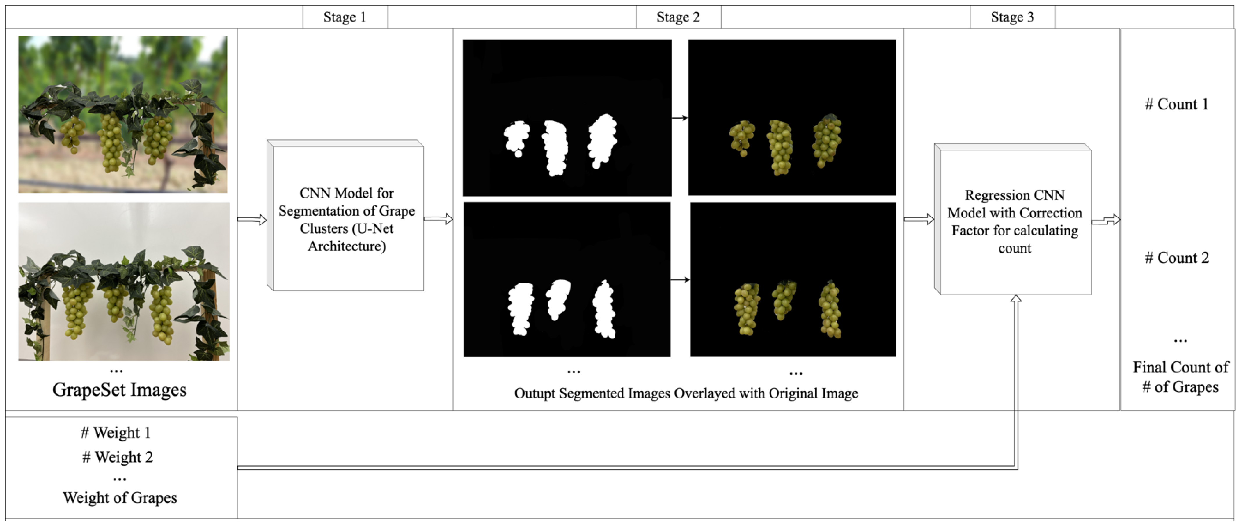 Jimaging 11 00034 g002